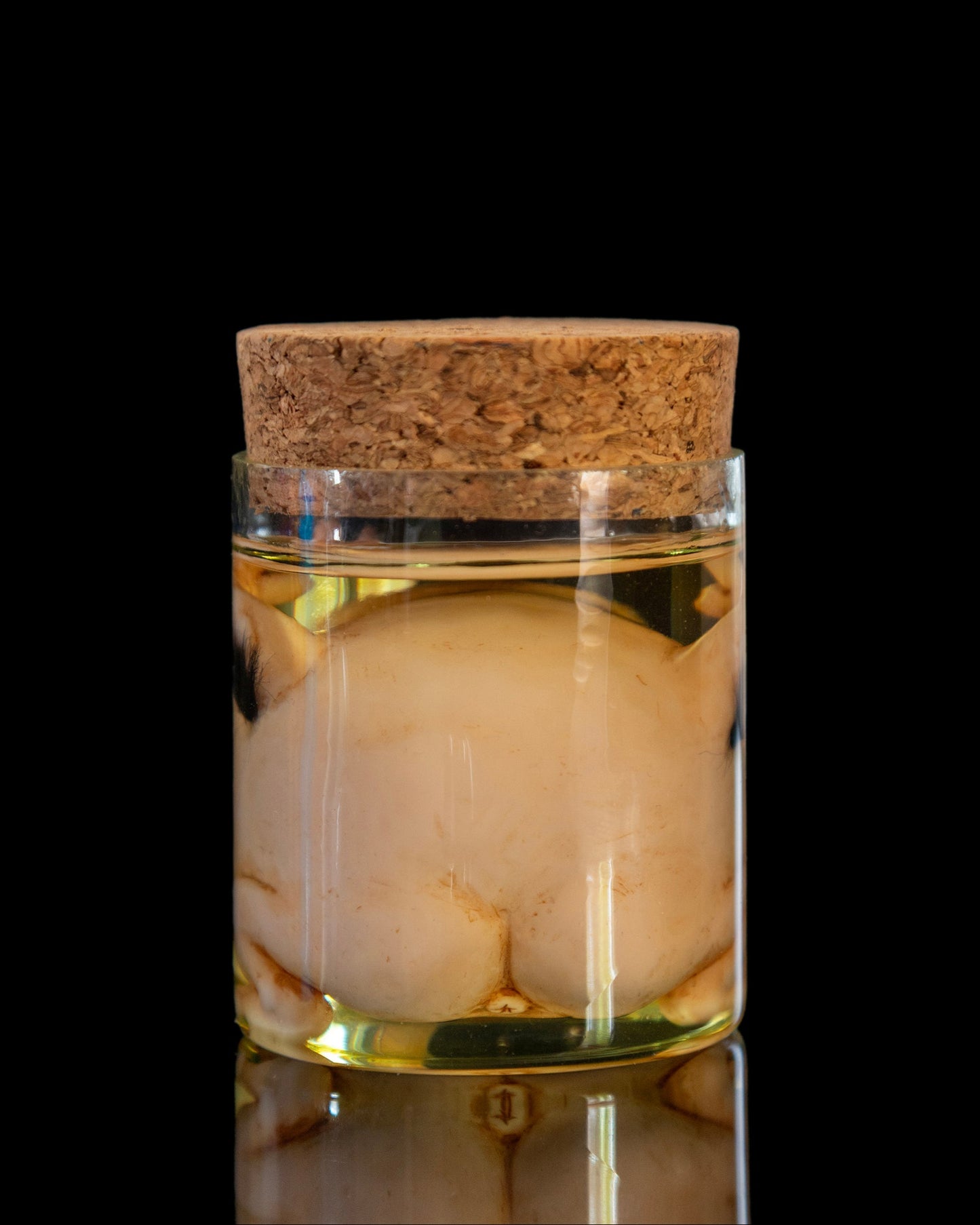 Monster in Jar