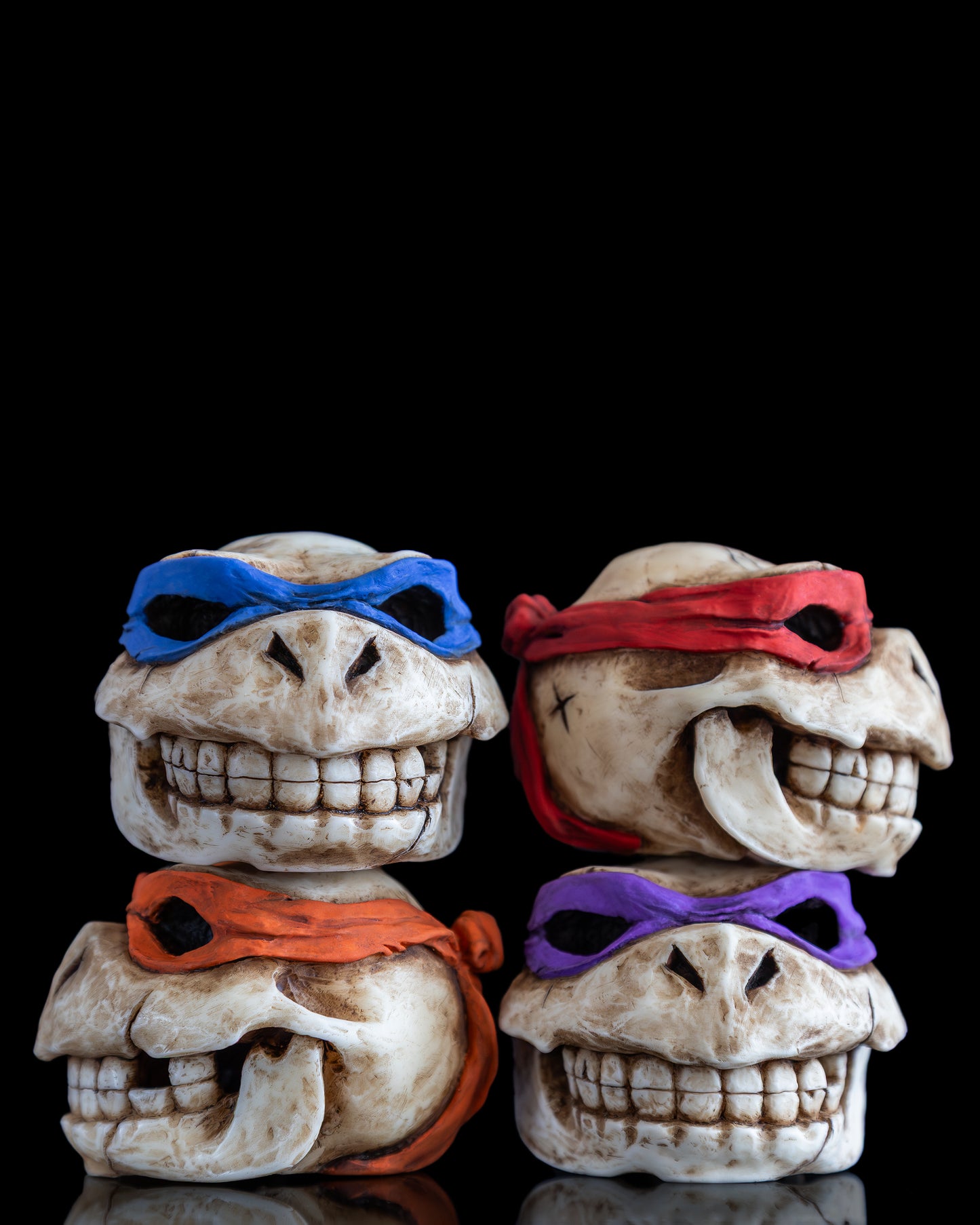 Turtle skull