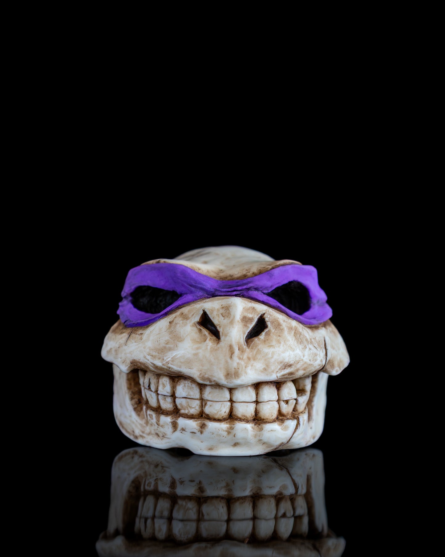 Turtle skull
