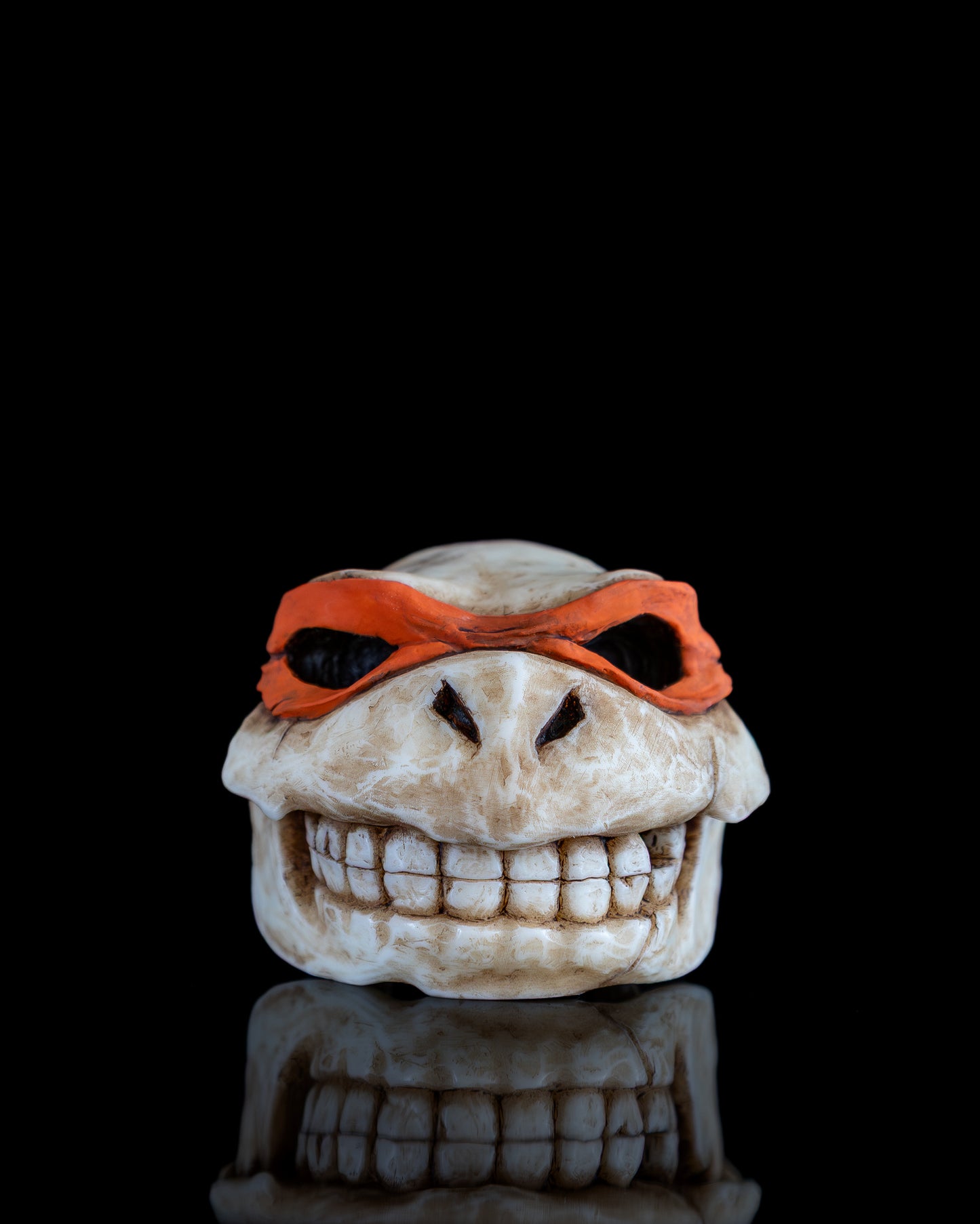 Turtle skull