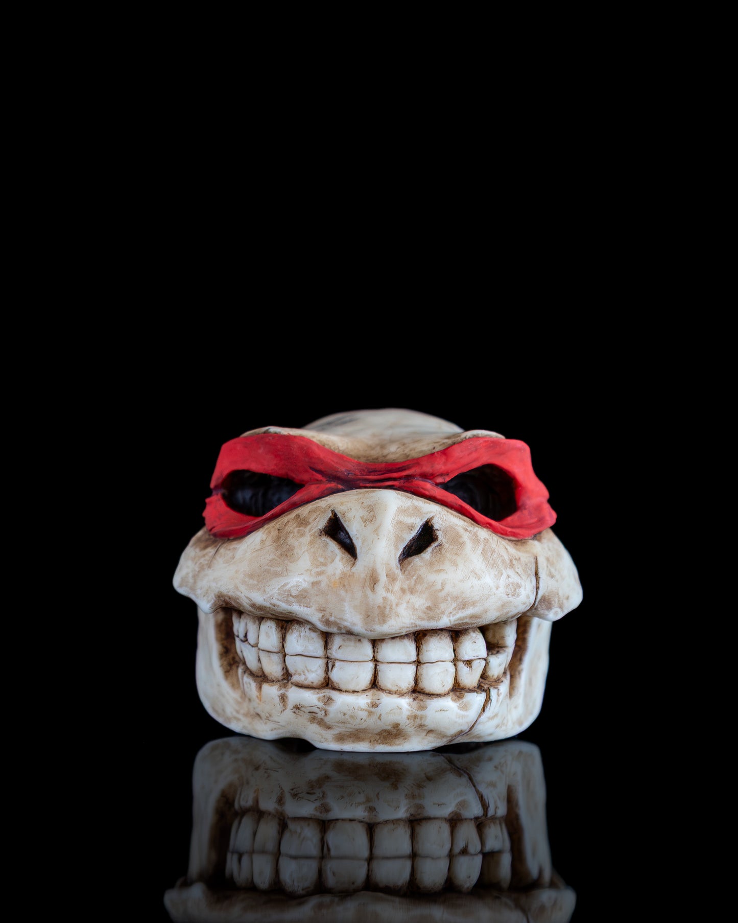 Turtle skull