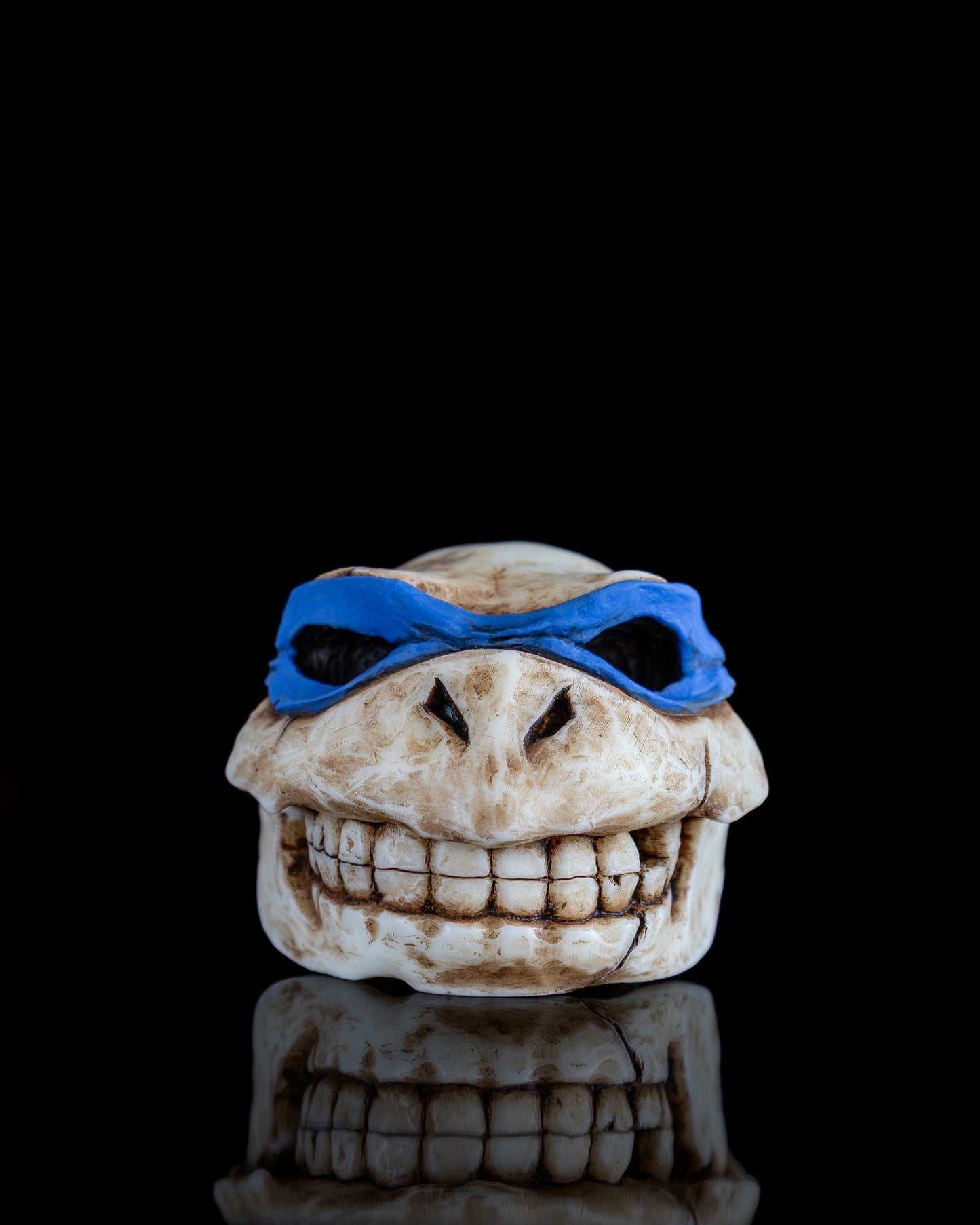Turtle skull