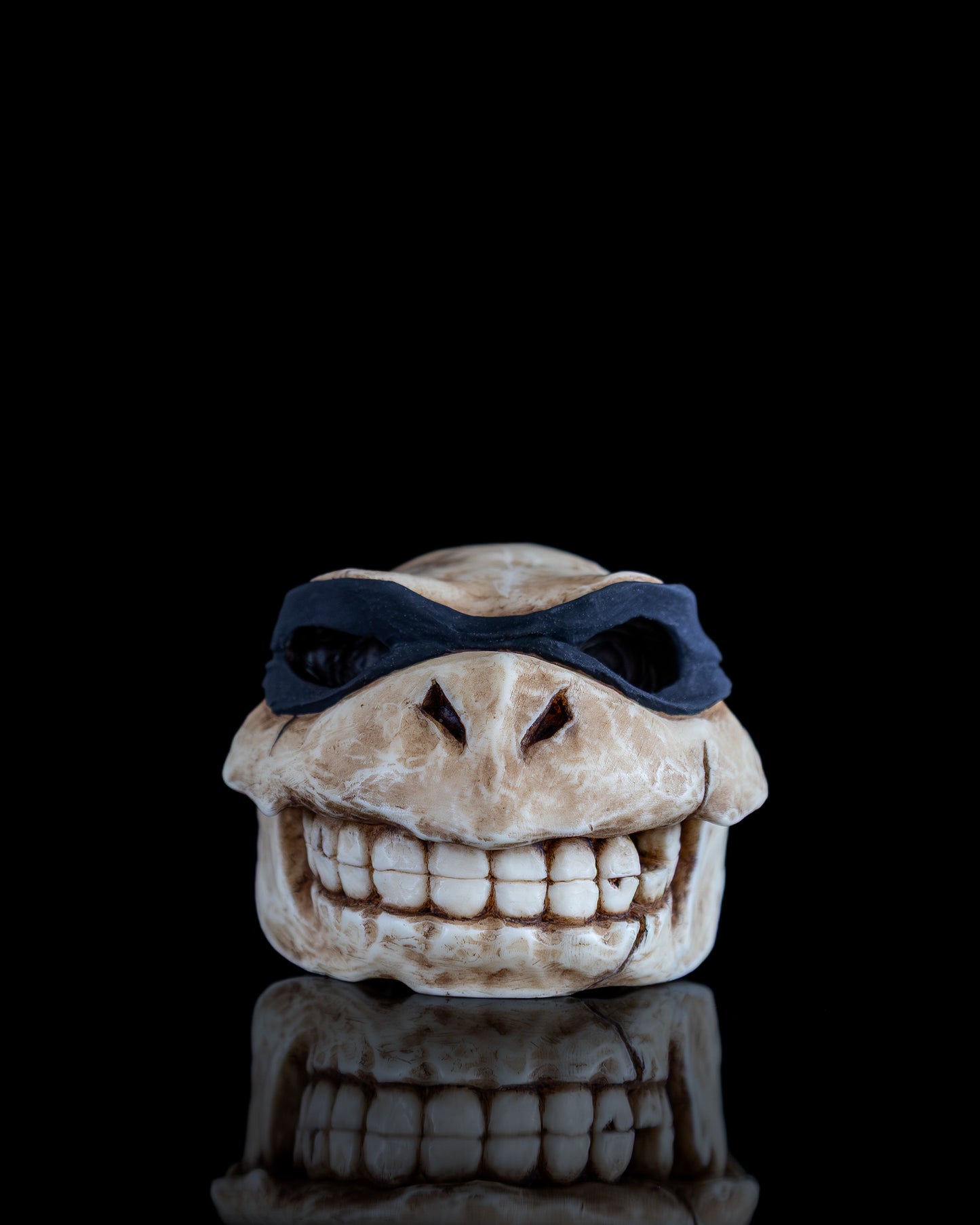 Turtle skull