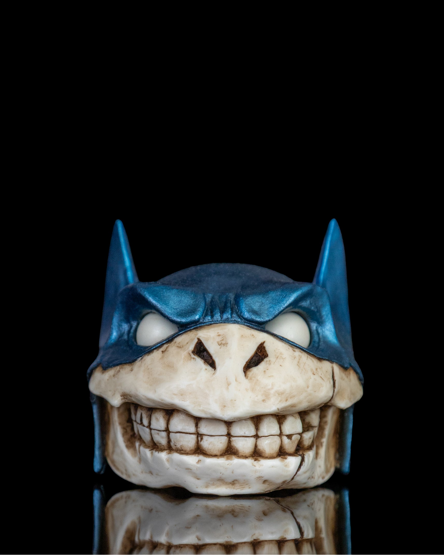 Dark turtle skull