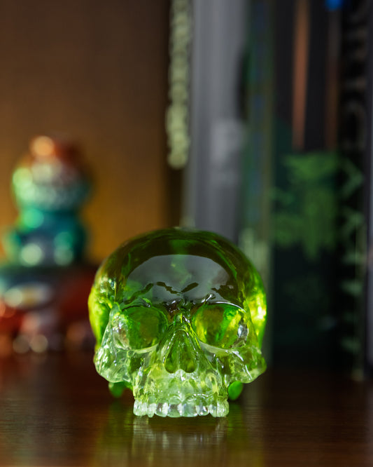 Skull