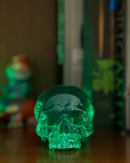 Skull