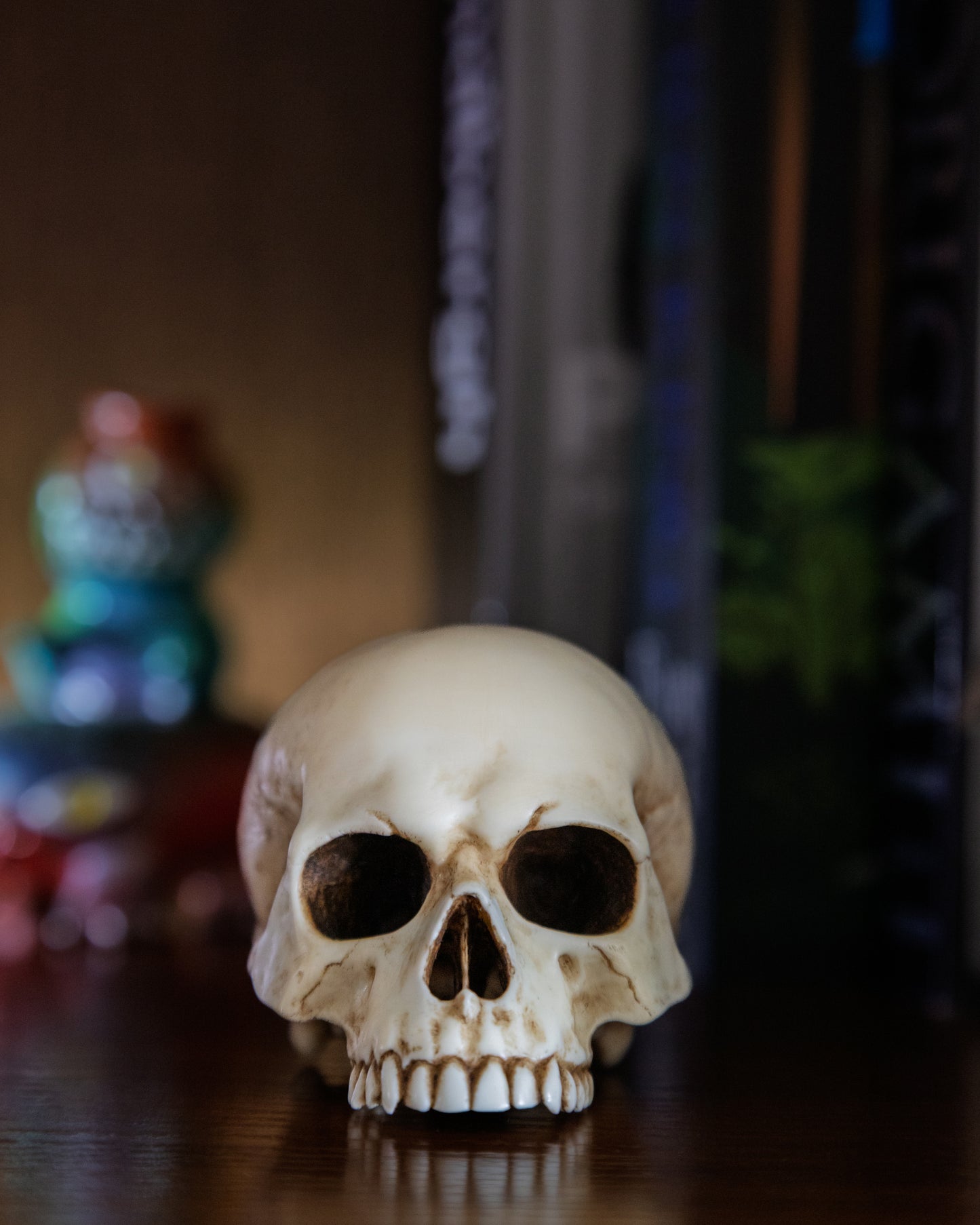 Skull