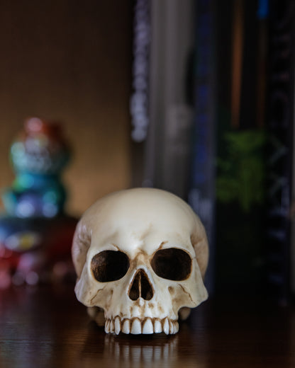 Skull