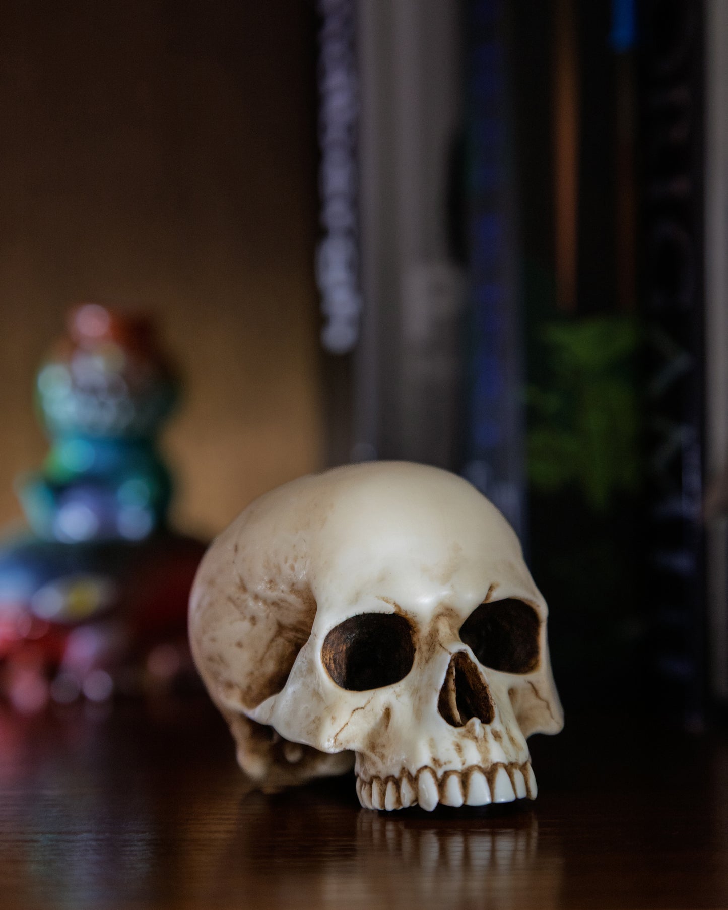 Skull