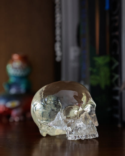 Skull
