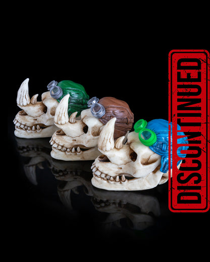 Rhino skull
