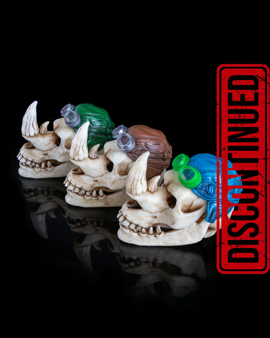 Rhino skull