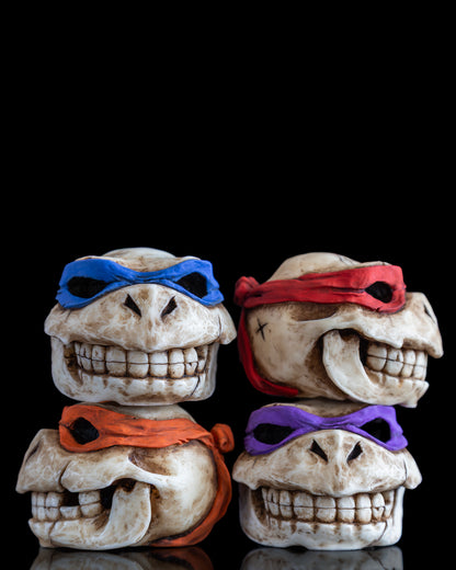 Turtle skull