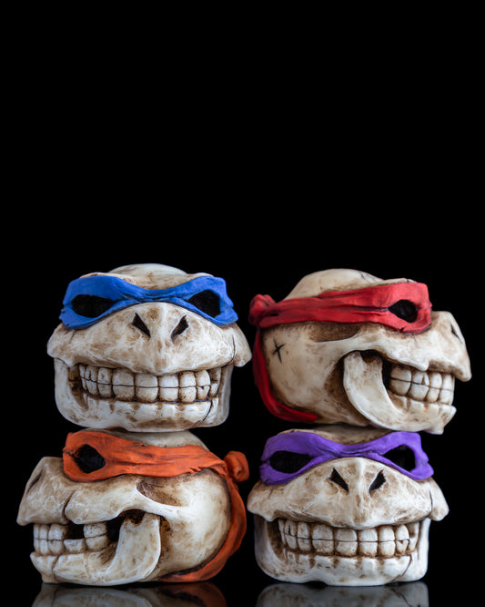 Turtle skull