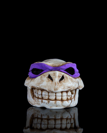 Turtle skull