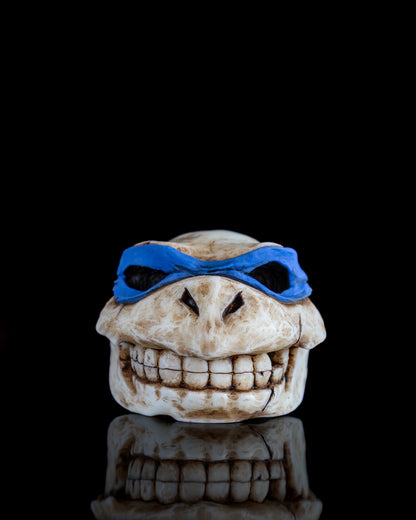 Turtle skull