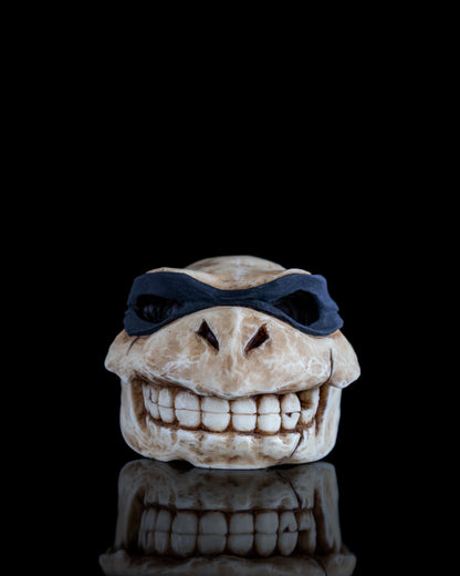 Turtle skull