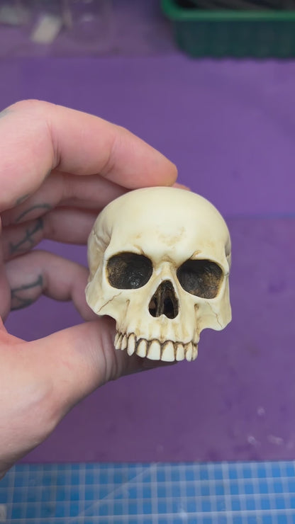 Skull