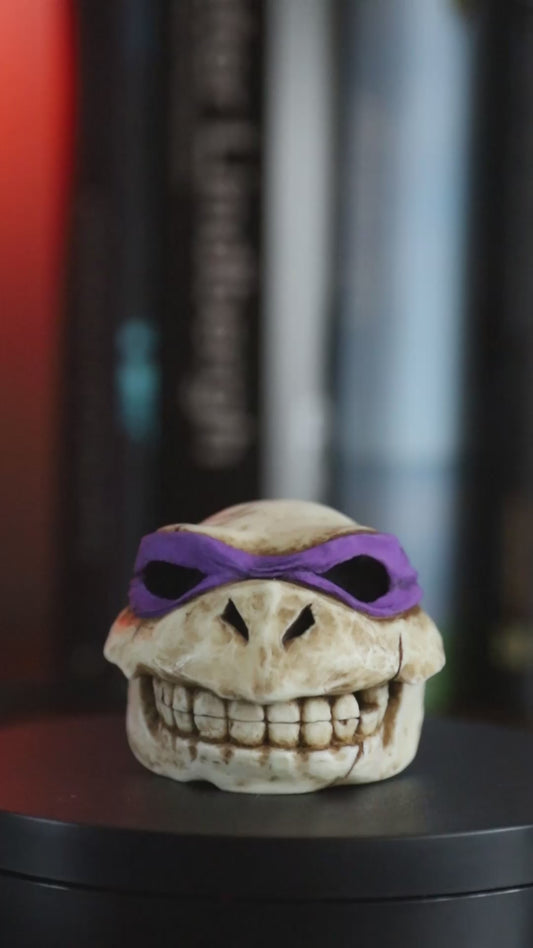 Turtle skull