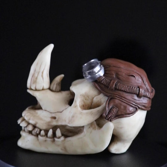 tmnt, teenage mutant ninja turtles, rhino rocksteady skull, fan art, collection, collector, handmade