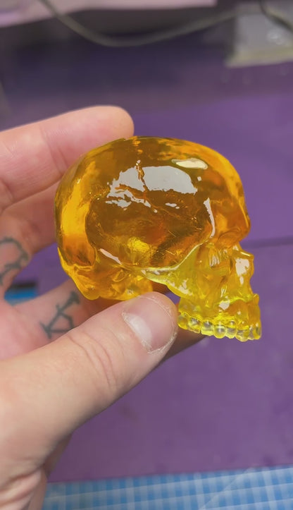Skull