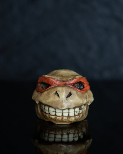 Turtle skull