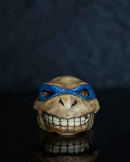 Turtle skull