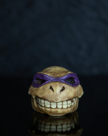 Turtle skull
