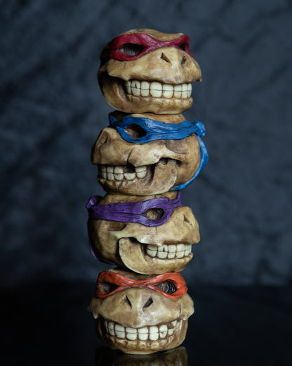 Turtle skull