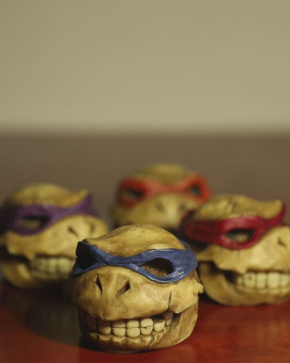 Turtle skull